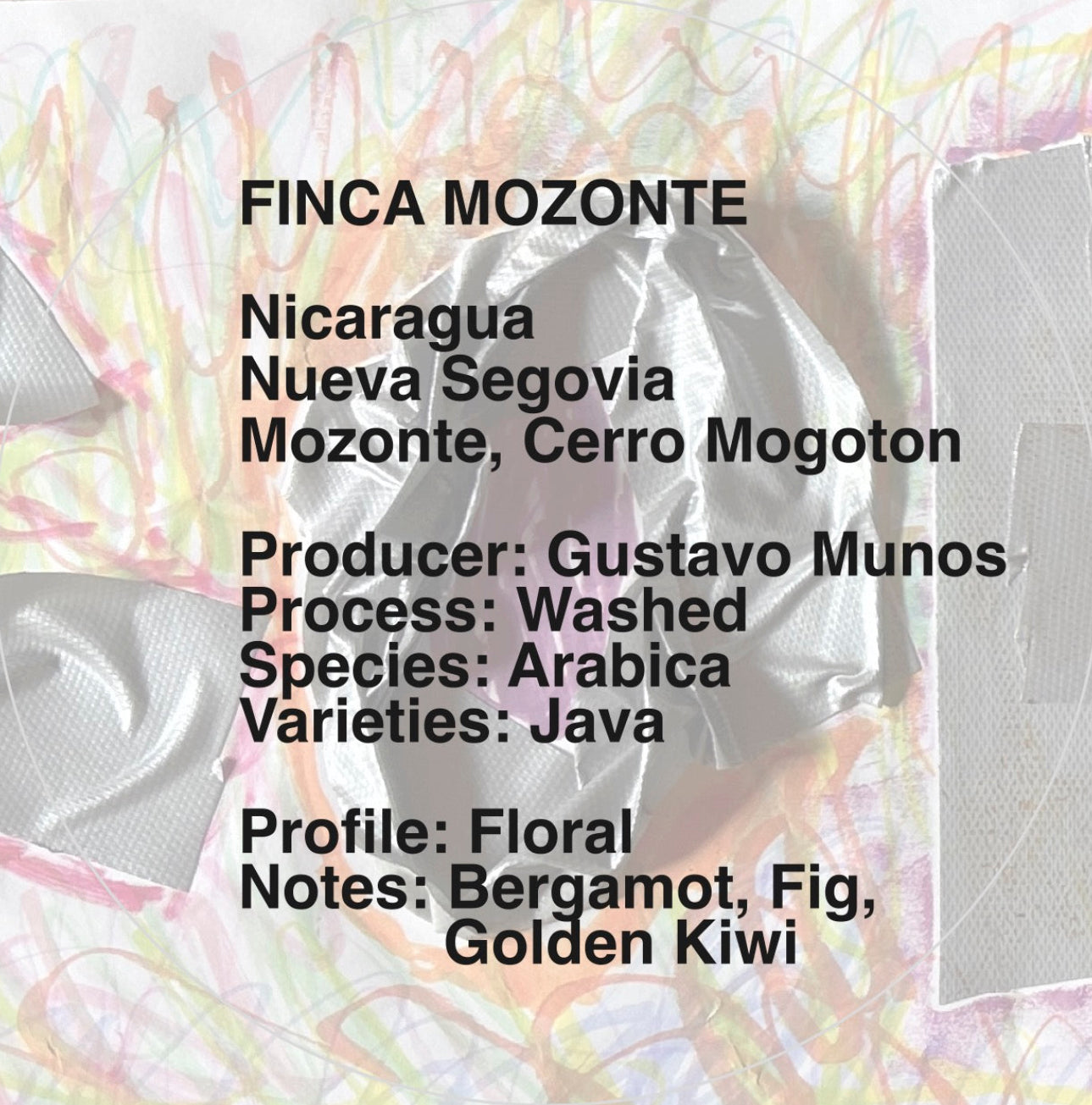 08 Finca Mozonte