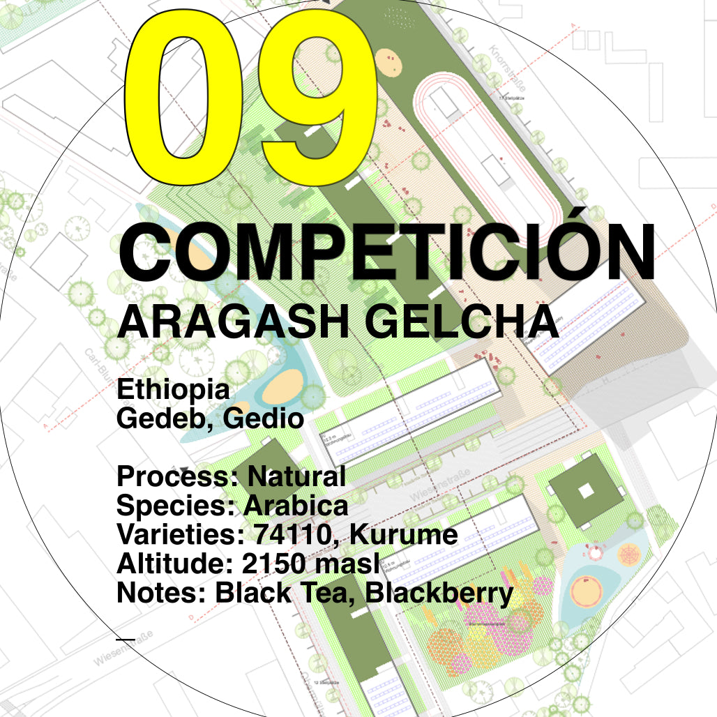 09 Aragash Gelcha