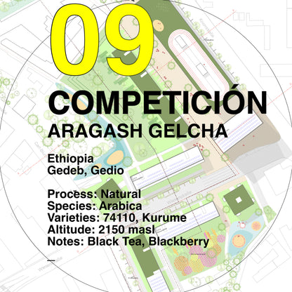 09 Aragash Gelcha